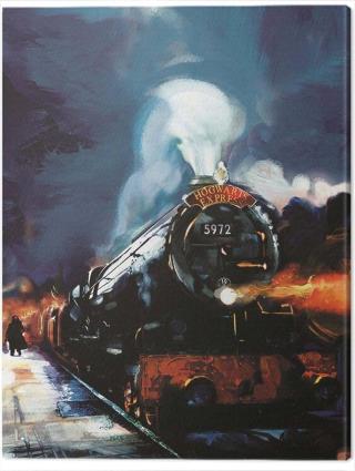 Obraz na plátně Harry Potter - Hogwarts Express,