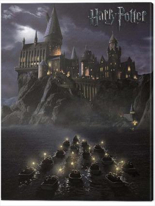 Obraz na plátně Harry Potter - Hogwarts School,