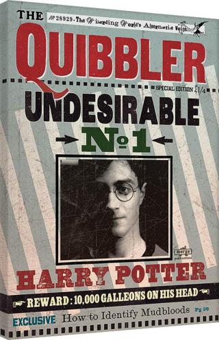 Obraz na plátně Harry Potter - Quibbler,