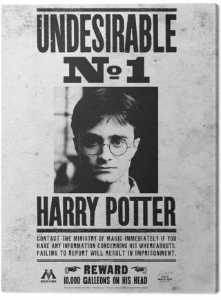 Obraz na plátně Harry Potter - Undesirable No.1,