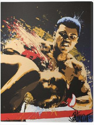 Obraz na plátně Muhammad Ali - Stung,