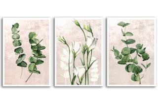 Obraz na plátně PLANTS II. set 3 kusy 50x70 cm Ludesign