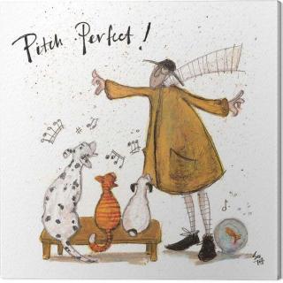 Obraz na plátně Sam Toft - Pitch Perfect,