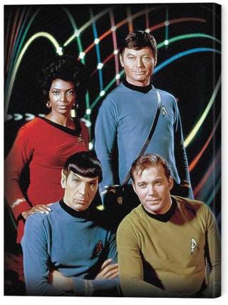 Obraz na plátně Star Trek - Kirk, Spock, Uhura & Bones,