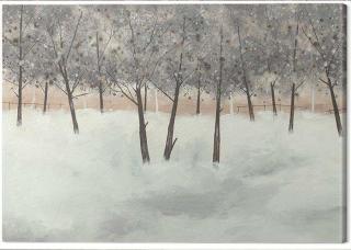 Obraz na plátně Stuart Roy - Silver Trees on White,