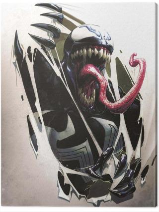 Obraz na plátně Venom - Tearing Through,