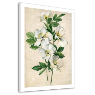 Obraz na plátně WHITE FLOWERS III. 50x70 cm Ludesign