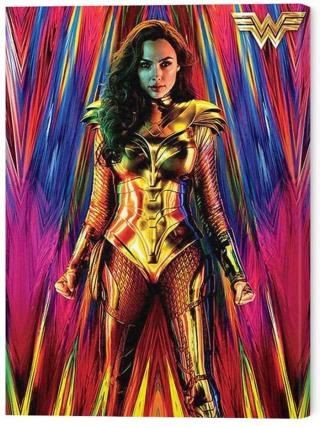 Obraz na plátně Wonder Woman 1984 - Neon Static,