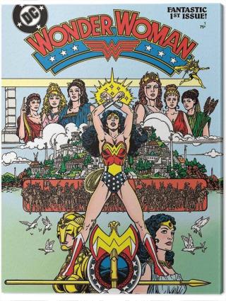 Obraz na plátně Wonder Woman - Fantastic,