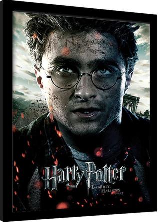 Obraz na zeď - Harry Potter: Relikvie Smrti Část 2 - Harry
