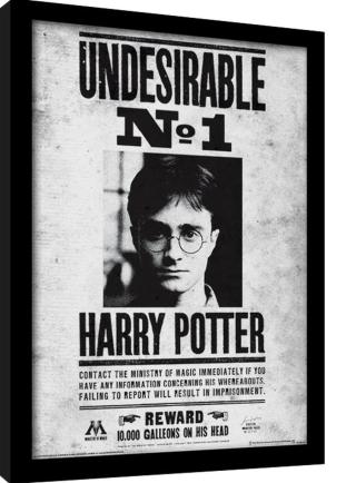 Obraz na zeď - Harry Potter - Undesirable No1
