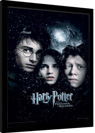 Obraz na zeď - Harry Potter - Vězeň z Azkabanu