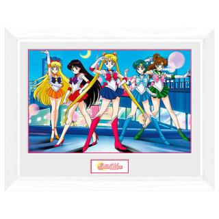 Obraz na zeď - Sailor Moon - Group