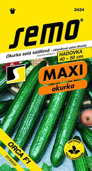 Okurka skleníková Orca F1 MAXI