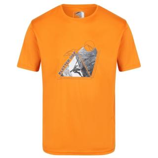Pánské funkční tričko regatta fingal slogan oranžová s