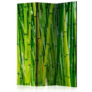 Paraván Bamboo Forest Dekorhome 135x172 cm