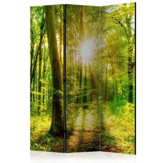 Paraván Forest Rays Dekorhome 135x172 cm