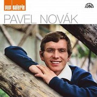 Pavel Novák – Pop galerie