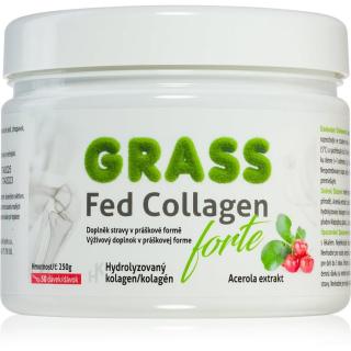 Pharma Activ GRASS Fed Collagen forte Acerola extrakt prášek na přípravu nápoje kloubní výživa 250 g