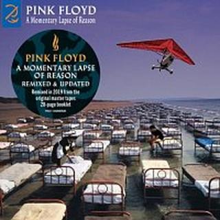 Pink Floyd – A Momentary Lapse of Reason  CD