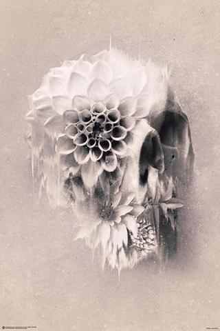 Plakát, Obraz - Ali Gülec - Decay Skull,