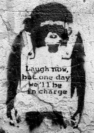 Plakát, Obraz - Banksy street art - chimp,
