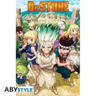 Plakát, Obraz - DR. Stone - Group,