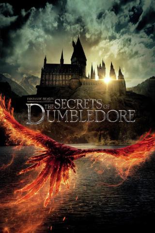 Plakát, Obraz - Fantastic Beasts - The secrets of Dumbledore,