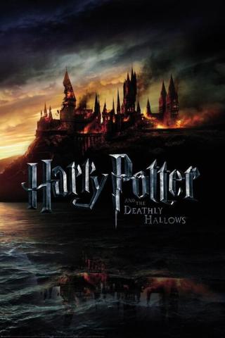 Plakát, Obraz - Harry Potter and the Deadly Hallows: Part 2 - Burning Hogwarts,