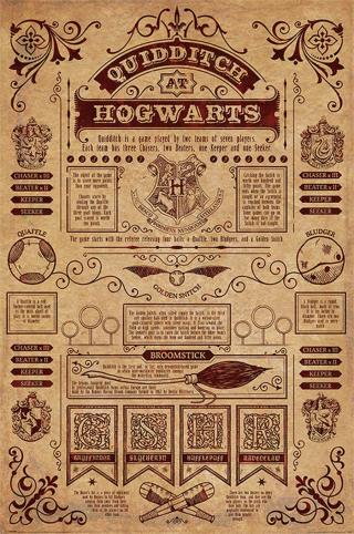 Plakát, Obraz - Harry Potter - Quidditch At Hogwarts,