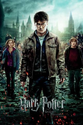 Plakát, Obraz - Harry Potter - Relikvie smrti trio,
