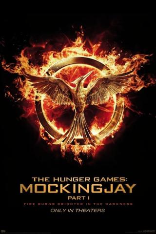 Plakát, Obraz - Hunger Games: Síla vzdoru 1. část - Reprodrozd