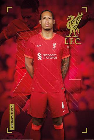 Plakát, Obraz - Liverpool FC - Virgil Van Dijk,