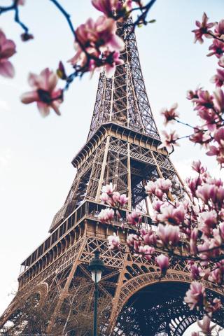 Plakát, Obraz - Paříž - Eiffel Tower,