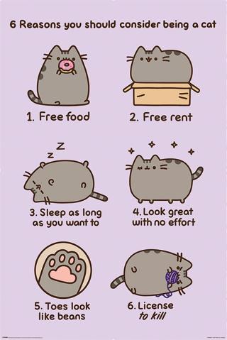 Plakát, Obraz - Pusheen - Reasons to be a Cat,