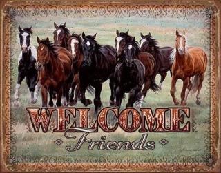 Plechová cedule WELCOME - HORSES - Friends,