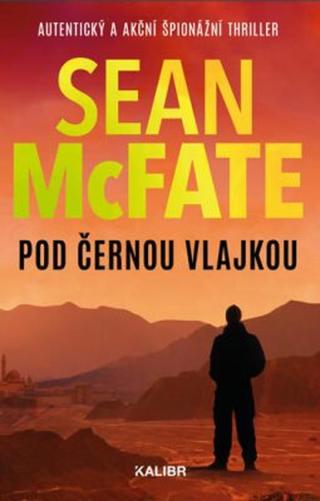 Pod černou vlajkou - Sean McFate