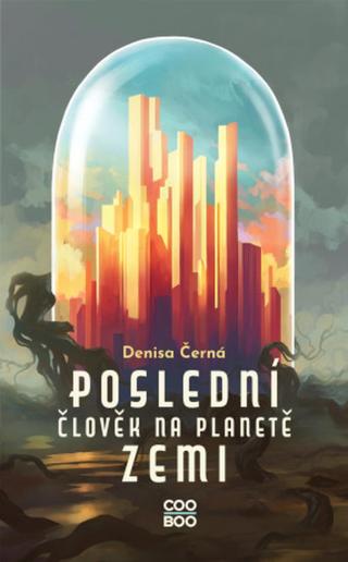 Poslední člověk na planetě Zemi - Adéla Stopka - e-kniha