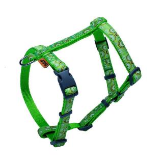 Postroj BAF kroužky zelený 1,5cmx29-45x37-57cm