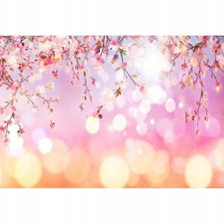 Pozadí prkénka Yeele růžová jarní třešeň květy saku