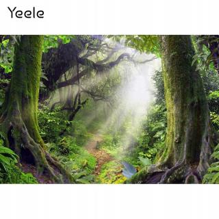 Pozadí prkna Yeele fenomenální les džungle lesk Phot