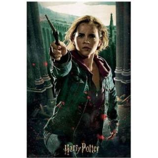 Prime 3D puzzle Harry Potter Hermione Granger 300 dílků