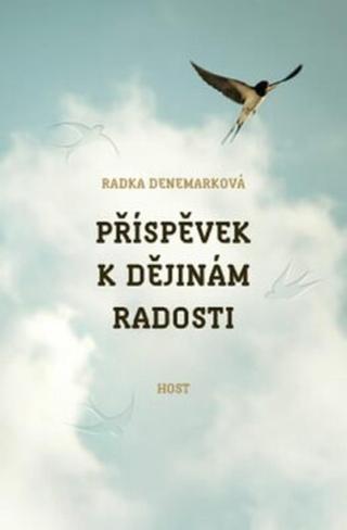 Příspěvek k dějinám radosti - Radka Denemarková