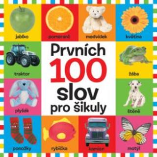 Prvních 100 slov