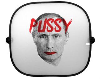 Pussy Putin Clona do auta