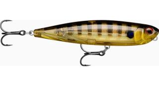 Rapala Wobler Precision Xtreme Pencil 10,7cm Barva: GGIU