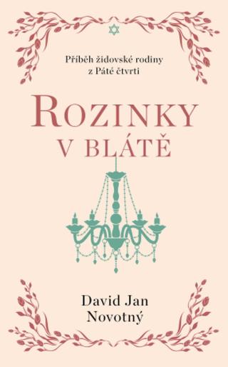 Rozinky v blátě - David Jan Novotný - e-kniha