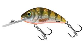 Salmo Wobler Rattlin Hornet Floating 6,5cm - Yellow Holographic Perch