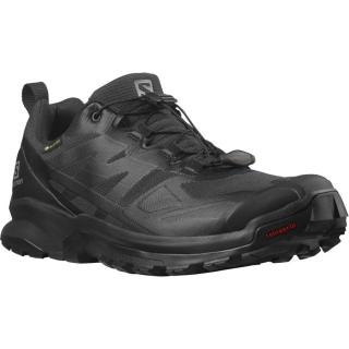 Salomon SALOMON Xa rogg 2 GTX EU 42, Black/Black/Black Dámské trekové boty