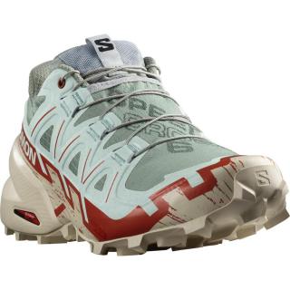 Salomon Speedcross 6 EU 40, Lily Pad/Rainy Day/Bleached Aqua Dámské boty